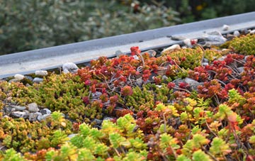 the cost of Starling green roof installation