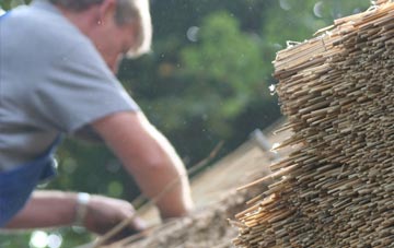 professional Starling thatchers